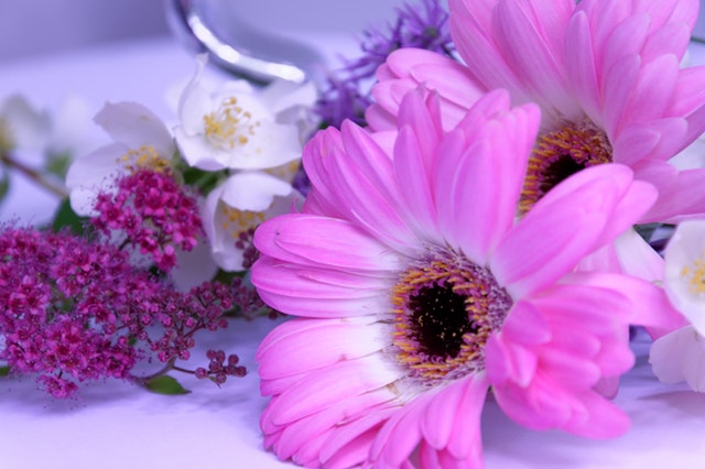 笑顔になってほしい人に贈る花言葉22選 幸せを運ぶ素敵な花を意味とともに紹介 Clover クローバー
